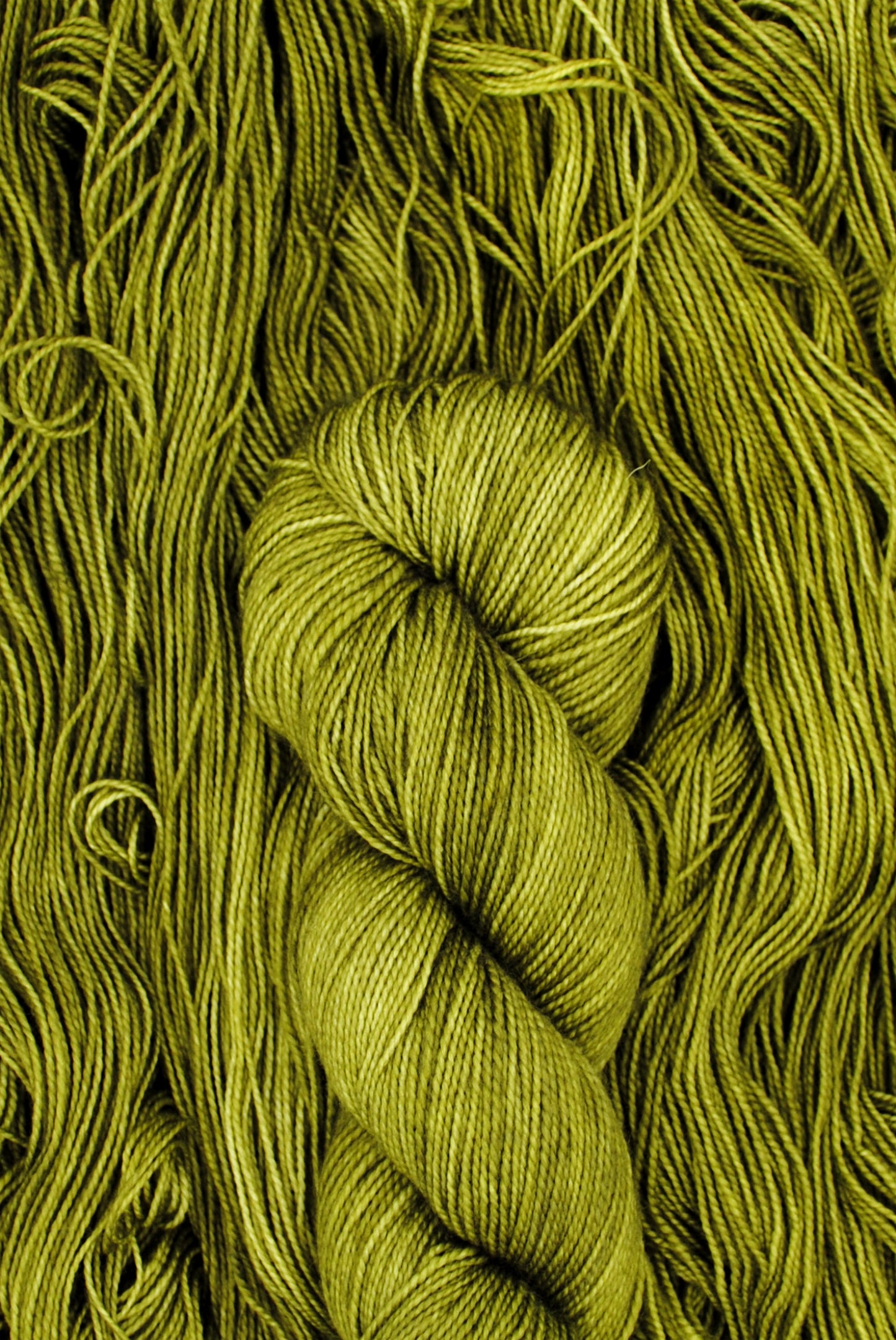 Bearded Lichen