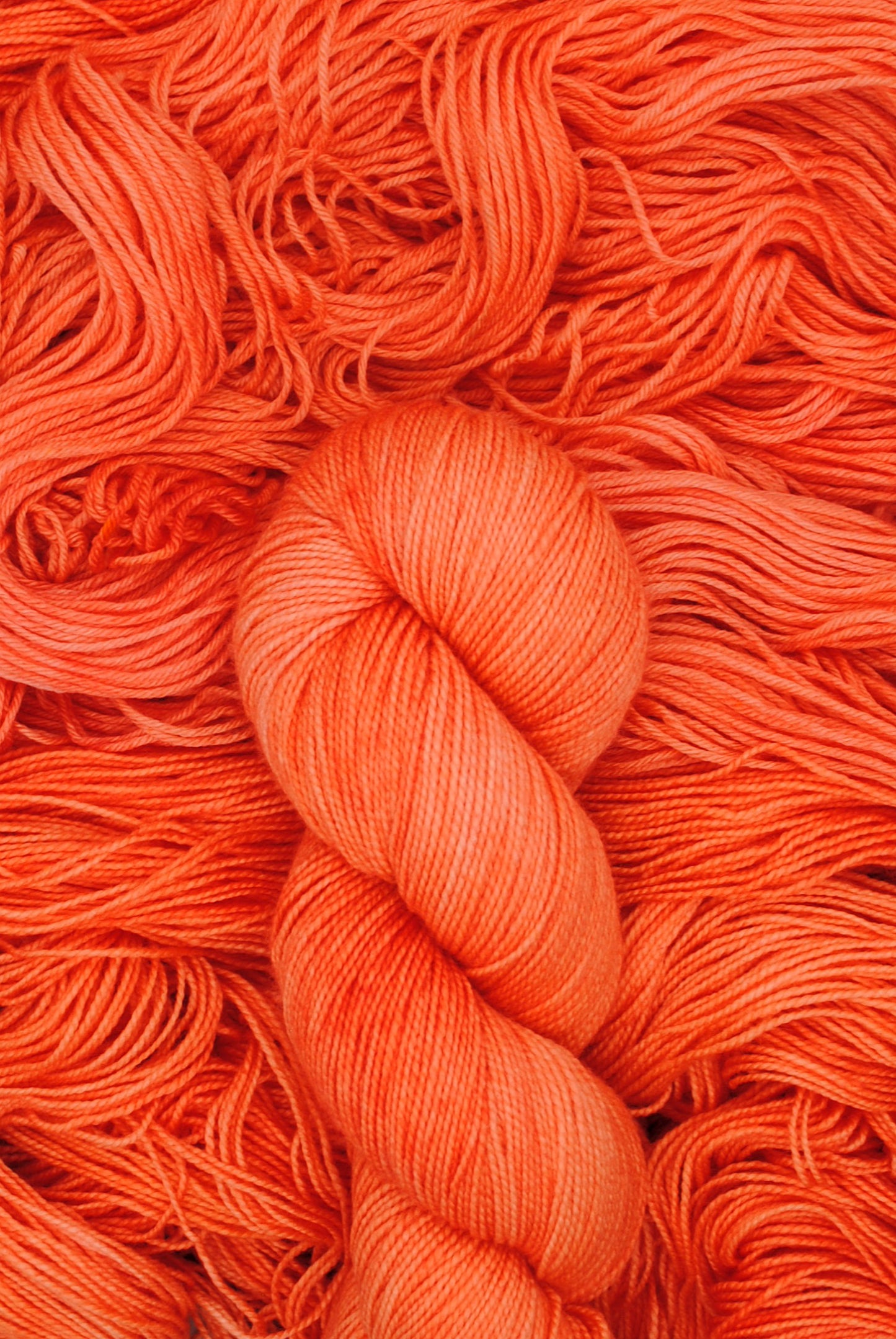 Orange Slice