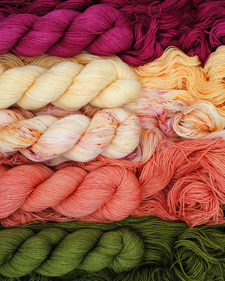 The Peony Color Story