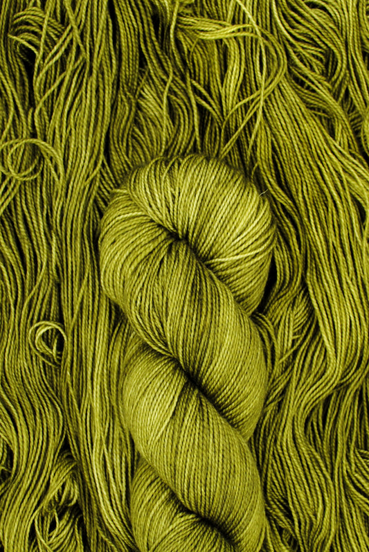 Bearded Lichen